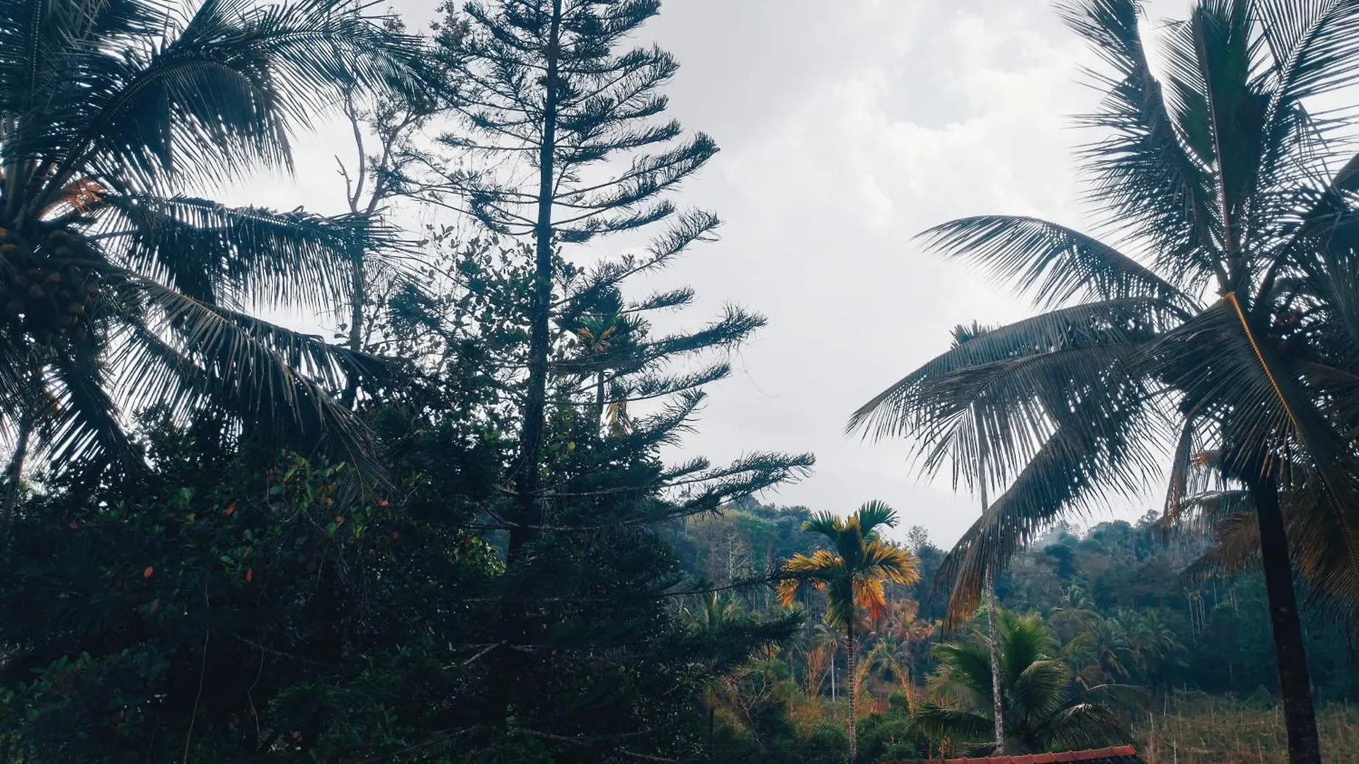 Joeann Villa Kalpetta Homestay