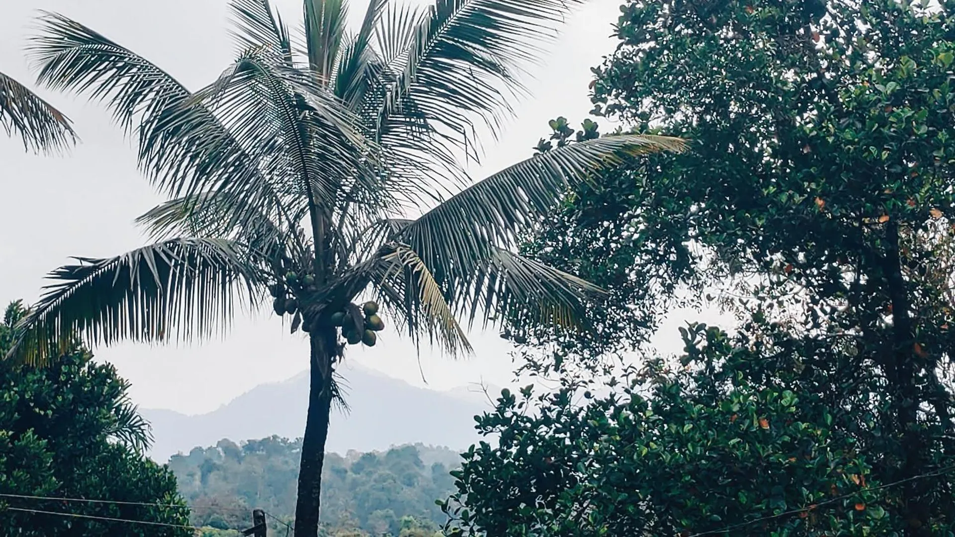 Homestay Joeann Villa Kalpetta India